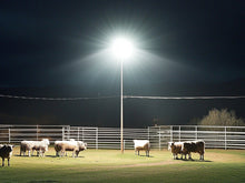 Load image into Gallery viewer, STASUN 2 Pack 480W LED Flood Lights, Mini Series Exterior Floodlights, 48000LM 6000K Daylight White IP66 Waterproof 3 Adjustable Panels