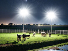 Load image into Gallery viewer, STASUN 600W LED Flood Light, Mini Series Stadium Light, 60000LM 6000K Daylight White, IP66 Waterproof, 3 Adjustable Panels