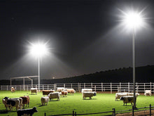 Load image into Gallery viewer, STASUN 2 Pack 600W LED Flood Light, Mini Series Stadium Light, 60000LM 6000K Daylight White IP66 Waterproof 3 Adjustable Panels