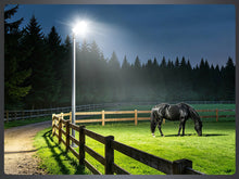 Load image into Gallery viewer, LED 200W Parking Lot Light, Outdoor Street Light, Optional Photocell 30,000LM, POLE MOUNT / WALL MOUNT, 2-Head Adjustable, 360° Rotation &amp; 120° Tilt, Horizontal/Vertical Mount, IP66, 100–277V, ETL, Hardwired
